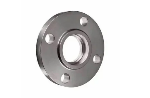 SS 317L Slip On Flanges